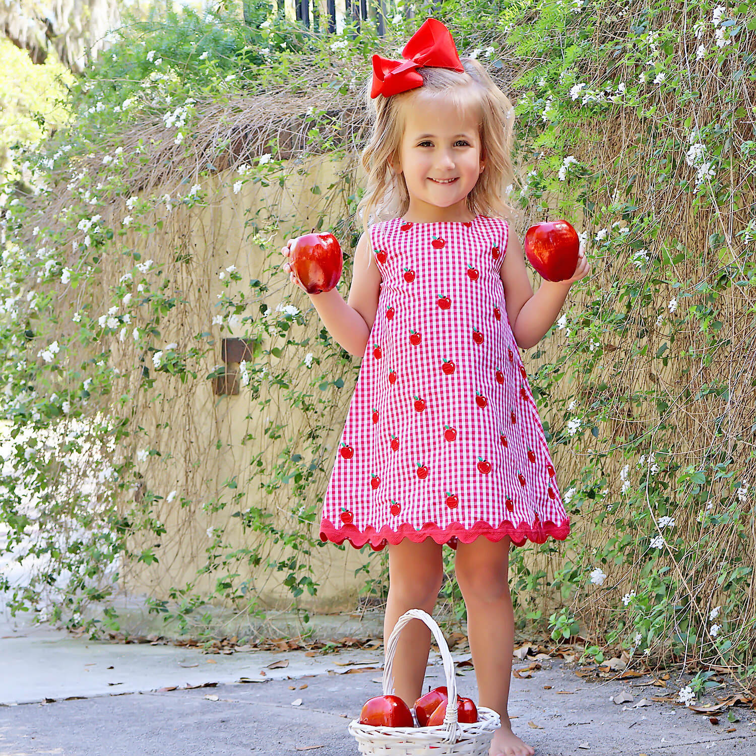Tiny Apples Red Gingham Eleanor Dress - Image 5