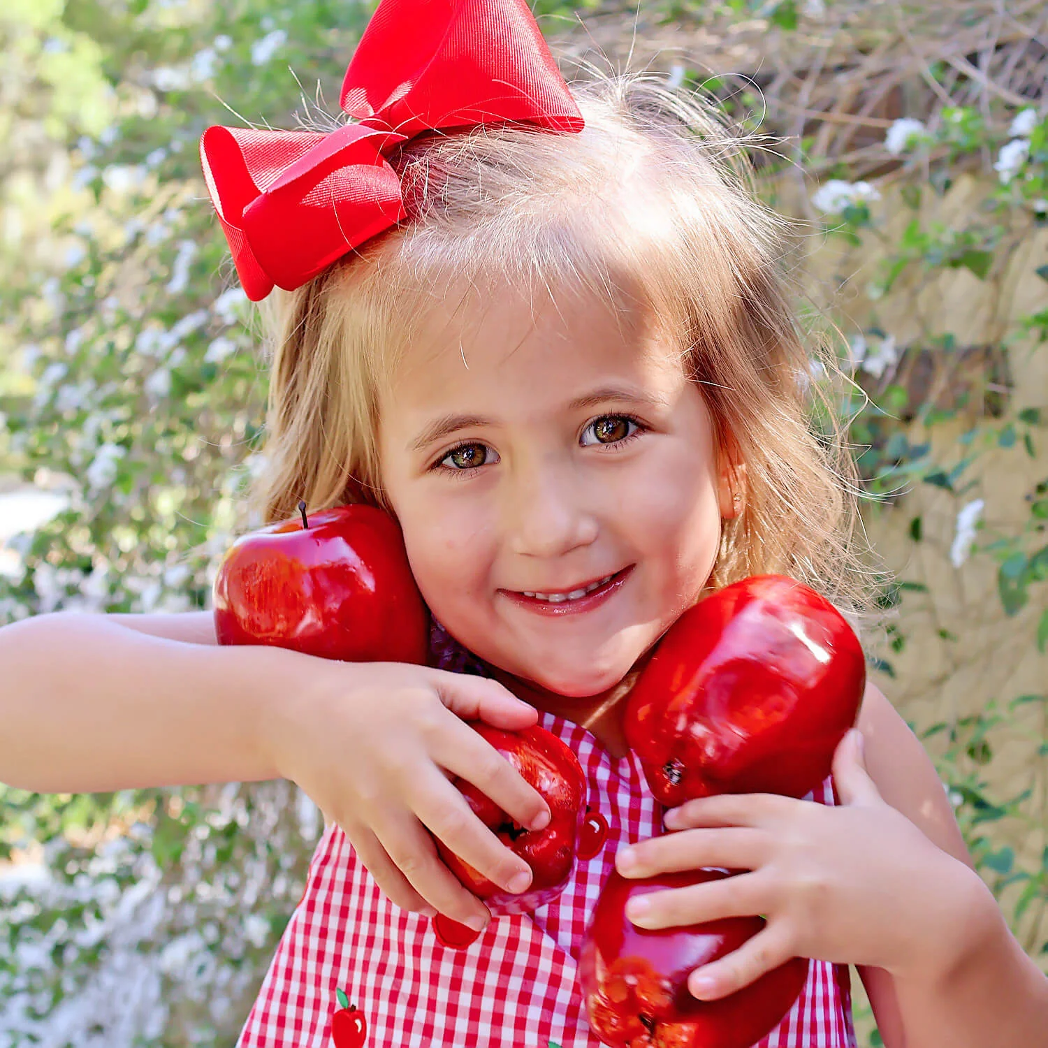 Tiny Apples Red Gingham Eleanor Dress - Image 8
