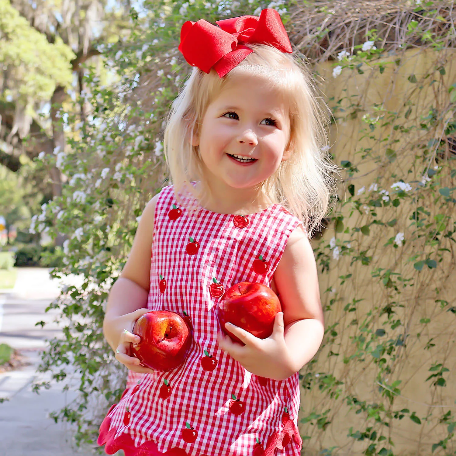 Tiny Apples Red Gingham Sadie Bloomer Set - Image 6